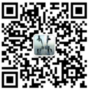2019年山东省成考报考时间以及注意事项！