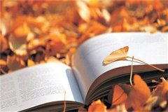 山东省自考的认可程度怎么样？有几种学历层次？