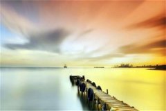 山东省自考教材应该从哪里买？