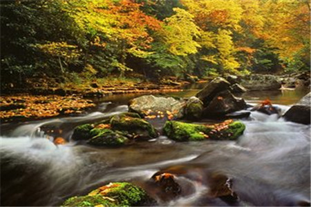 山东自考异地报名