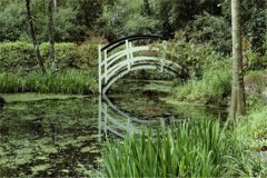 山东自考论文怎么申请？