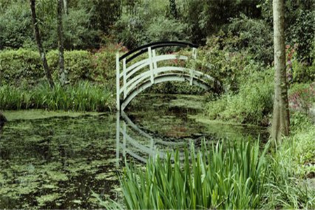 山东自考论文怎么申请？(图1)