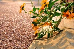 山东省自考什么人都可以报考吗?