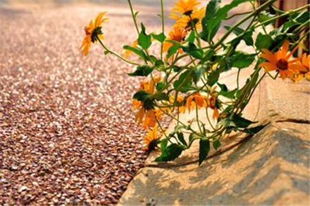 山东省自考什么人都可以报考吗?(图1)