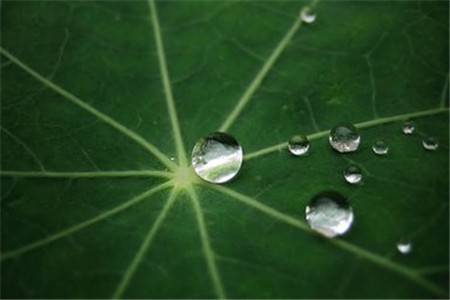 山东省自考的三大骗局，考生们都有防备吗?(图1)