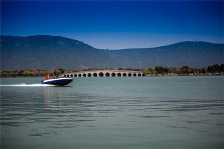 山东自考哪些专业不能使用计算机？