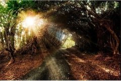 山东省自考如何应对简答、论述、作文以及计算题？