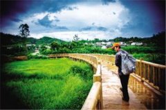 2020山东省自考拒绝“裸考”规划好备考计划