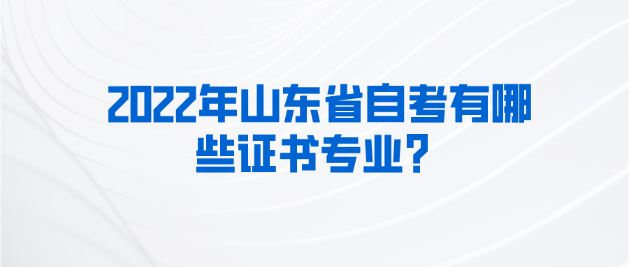 2022年山东省自考有哪些证书专业？