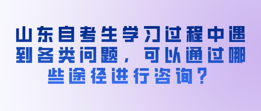 山东自考生学习过程中遇到各类问题，可以通过哪些途径进行咨询？