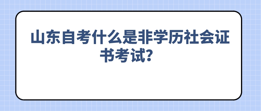 山东自考什么是非学历社会证书考试？