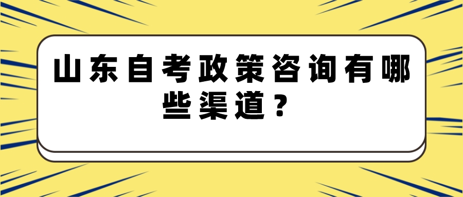山东自考政策咨询有哪些渠道？
