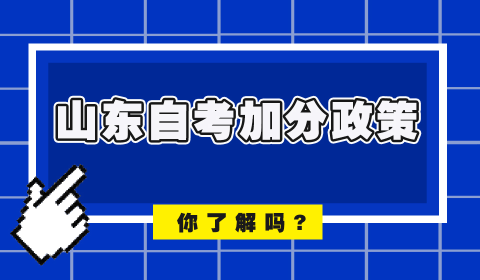 2023年4月山东自考本科网络营销与管理专业介绍