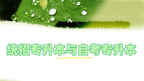 统招专升本成绩不理想，还能报考自考本科吗