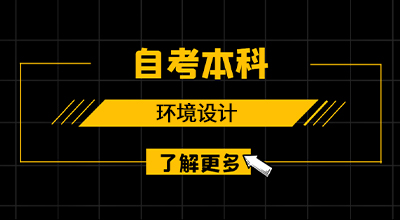 环境设计专业自考本科学历可以报考教师资格证吗？