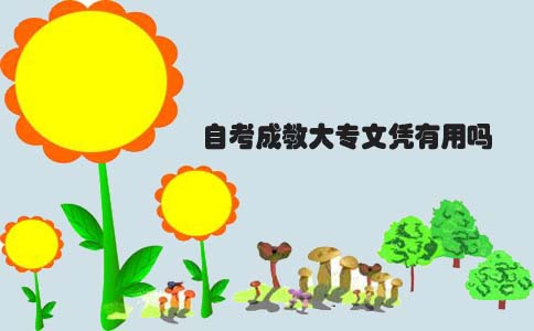 自考成教大专文凭有用吗(图1) 自考大专文凭有用吗