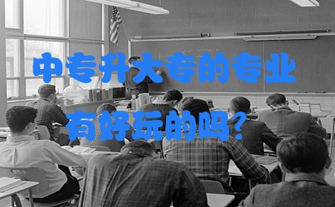 中专升大专的专业有好玩的吗?(图1) 中专升大专的专业有好玩的吗?