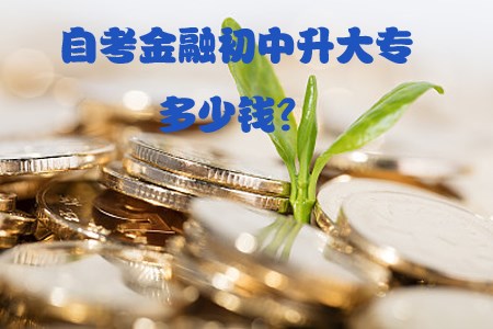 自考金融初中升大专多少钱?(图1) 金融