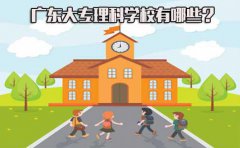 山东大专理科学校有哪些