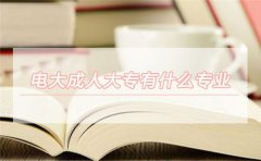 电大成人大专有什么专业可以选？