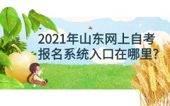 2021年山东网上自考报名系统入口在哪里?