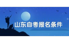 山东自考考前培训班有用吗?